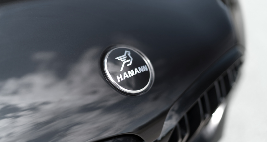 BMW X6 G06, Hamann Tuning