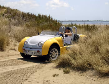 ACREA Zest 2-seater '2006–н.ч.