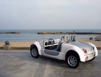 ACREA Zest 2-seater '2006–н.ч.