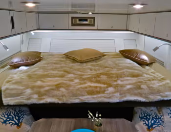 Interior Action Mobil Atacama 5800 '2013–pr.