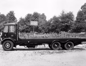 AEC Mammoth Major 6 MkII (O366) '1934–48