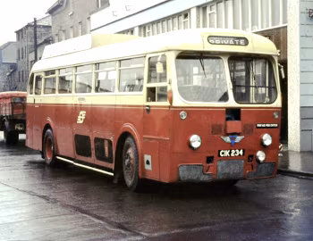 AEC Regal IV 9822E Park Royal [UK-spec] (DP43F) '1954