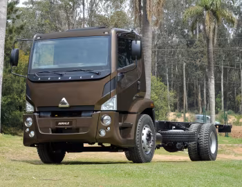Agrale 14000 S LWB 4×2 '10.2011–pr.