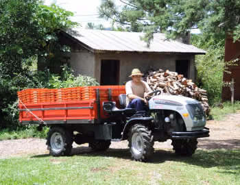Agrale 4230.4 Cargo Biodiesel '2008–18