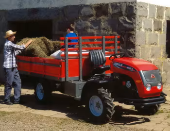 Agrale 4230.4 Cargo Rosso '2004–08