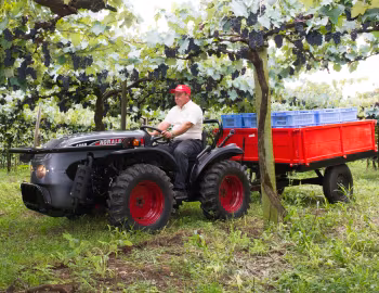 Agrale 4233 '2018–pr.