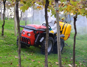 Agrale 4233 '06.2015–18