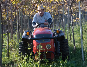 Agrale 4233 '06.2015–18
