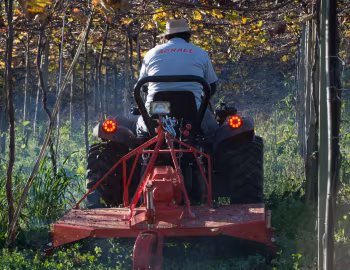 Agrale 4233 '06.2015–18