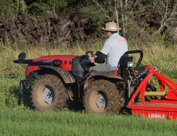 Agrale 4233 '06.2015–18
