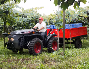 Agrale 4233 '2018–pr.