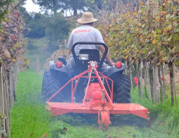 Agrale 4233 '06.2015–18