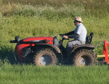 Agrale 4233 '06.2015–18