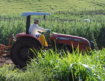 Agrale 5075.4 Compact Plataformado '2010–????