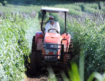 Agrale 5075.4 Compact Plataformado '2010–????