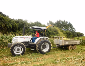 Agrale 5085.4 Plataformado '2008–18