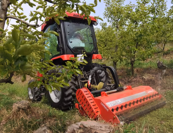 Agrale 540.4 Cabinado '2016–18