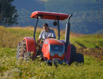 Agrale 575.4 '2013–18