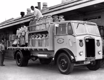 Albion Chieftain FT37CL '1950–59