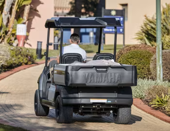 Yamaha UMX '2018–pr.