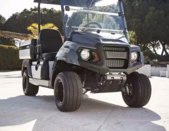 Yamaha UMX '2018–pr.