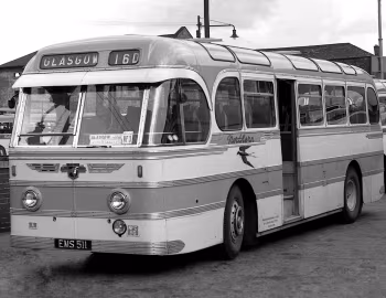 Leyland Royal Tiger PSU1/15 Alexander [UK-spec] (C41C) '1952–53