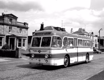 Leyland Royal Tiger PSU1/15 Alexander [UK-spec] (C41C) '1952–53
