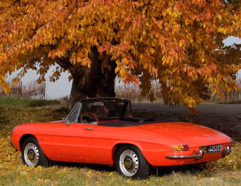 Alfa Romeo 1750 Spider Veloce (105.57) '1967–69