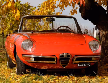 Alfa Romeo 1750 Spider Veloce (105.57) '1967–69
