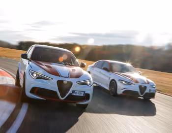 Alfa Romeo Stelvio Quadrifoglio Alfa Romeo Racing, Alfa Romeo Giulia Quadrifoglio "Alfa Romeo Racing"