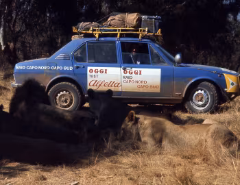 Alfa Romeo Alfetta "Raid Capo Nord Capo Sud" (116) '1973