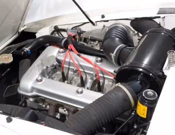 Sous la capuche Alfa Romeo Giulietta Sprint Speciale (101) '1959–60