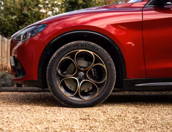 Alfa Romeo Stelvio Intensa [Worldwide] (949) '2025