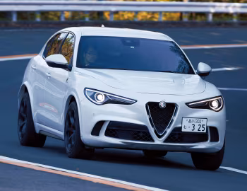Alfa Romeo Stelvio Quadrifoglio [Japan] (949) '2018–20