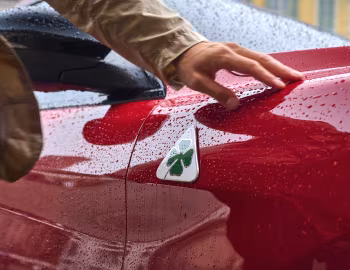 Alfa Romeo Stelvio Quadrifoglio [Worldwide] (949) '2023–25