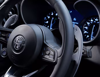 Panneau avant 2020–21 Alfa Romeo Stelvio Ti Sport Carbon [North America] (949) '2019–21