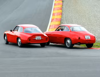 Alfa Romeo Giulietta SZ, Alfa Romeo Giulietta SZ Coda Tronca