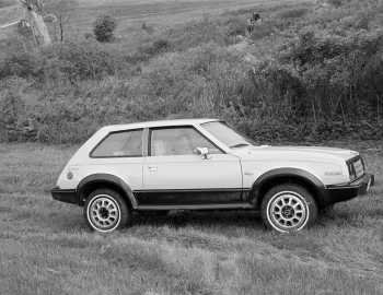 1981 AMC Eagle Kammback (560)