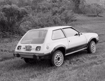 1981 AMC Eagle Kammback (560)