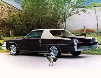 Cadillac Paris de Ville Pickup by American Custom Coachworks '1979
