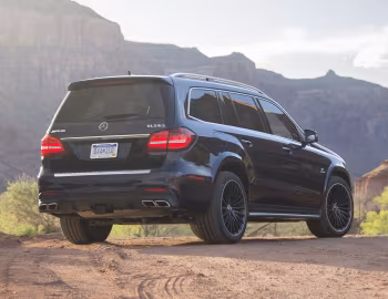 2017–20 Mercedes-AMG GLS 63 4MATIC [North America] (X166) '2016–20