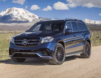 2017–20 Mercedes-AMG GLS 63 4MATIC [North America] (X166) '2016–20