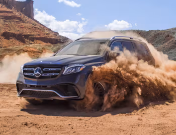 2017–20 Mercedes-AMG GLS 63 4MATIC [North America] (X166) '2016–20