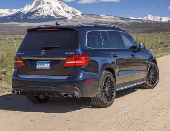 2017–20 Mercedes-AMG GLS 63 4MATIC [North America] (X166) '2016–20