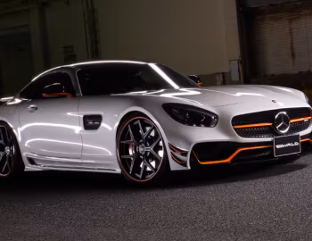 WALD Mercedes-AMG GT Sports Line Black Bison Edition (C190) '2015–17