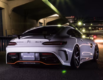 WALD Mercedes-AMG GT Sports Line Black Bison Edition (C190) '2015–17
