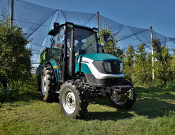 Arbos 2035 '2018–pr.