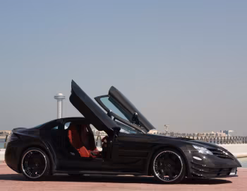 Asma Design SLR Perfectus (C199) '2009