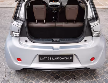 Coffre Aston Martin Cygnet "Cygnet & Colette" '2011