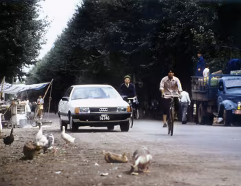 Audi 100 [Worldwide] (C3) '1988–90
